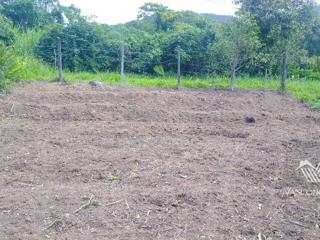 #245 - Terreno para Venda em Bertioga - SP - 2