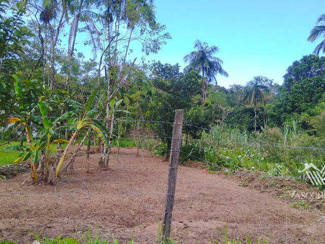 #245 - Terreno para Venda em Bertioga - SP - 1